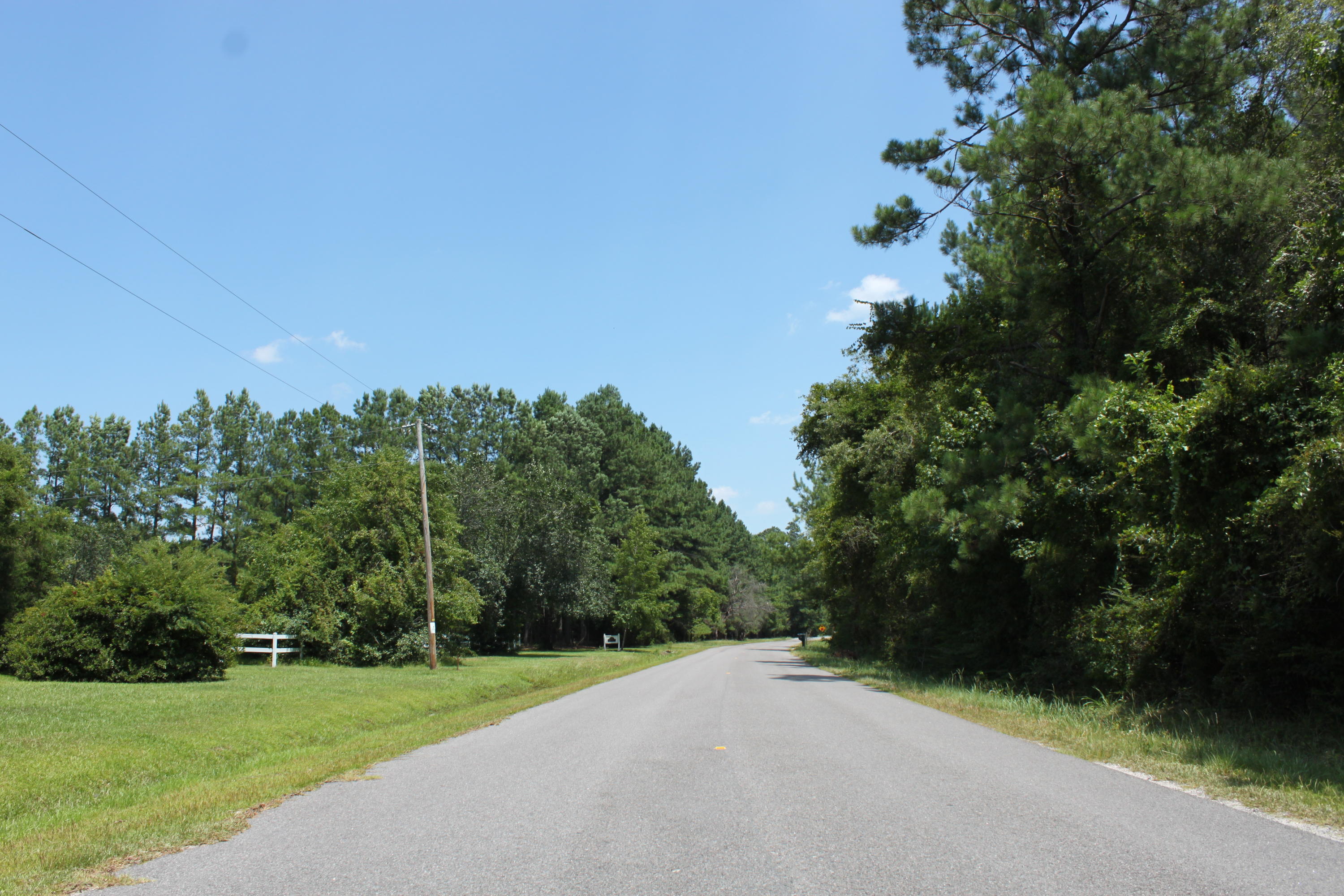 141 Rice Road Ridgeville, SC 29472 - Photo 6 of 8 IMG_0396