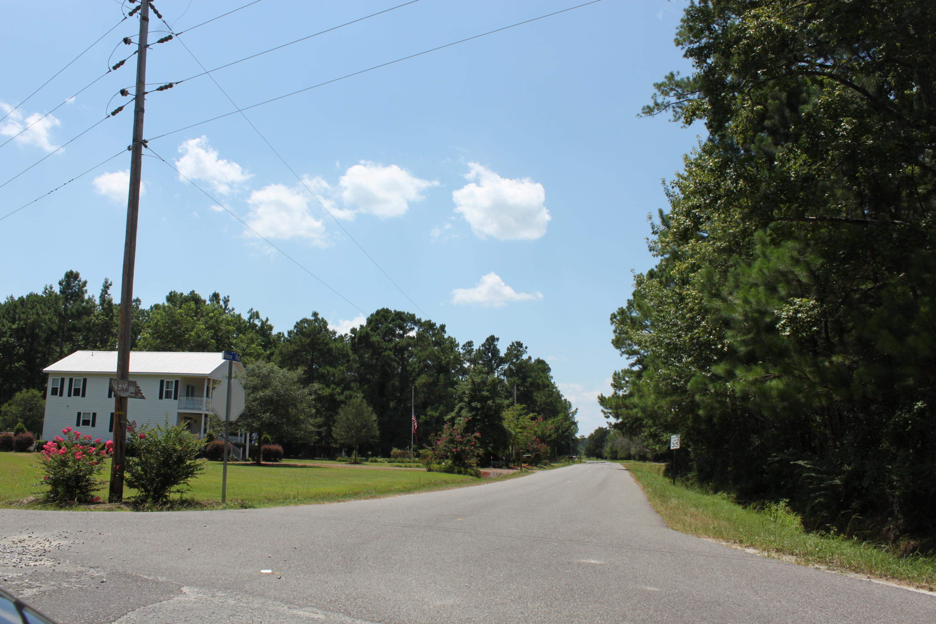 141 Rice Road Ridgeville, SC 29472 - Photo 8 of 8 IMG_0398