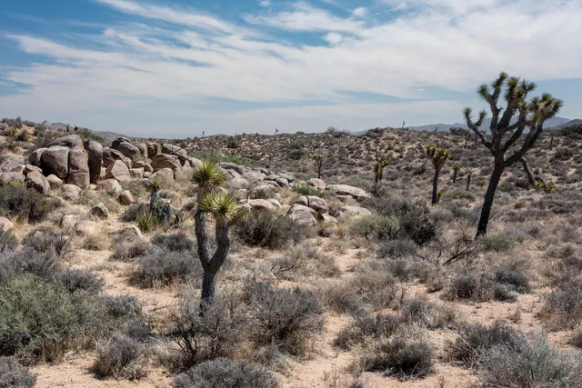 a view of a city with ocean view