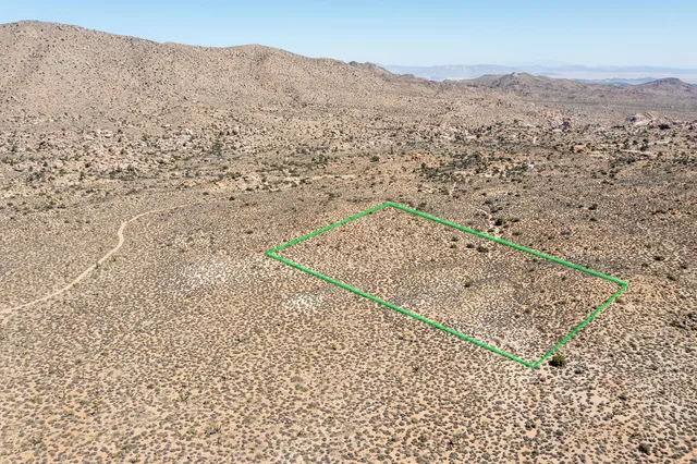 a view of a dry yard with wooden fence