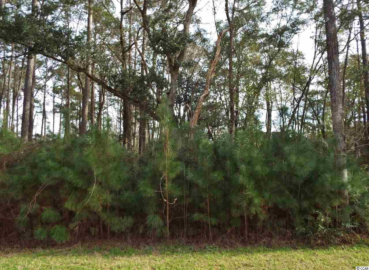 Lot 43 Dunning Road Summerville, SC 29486 - Photo 3 of 6