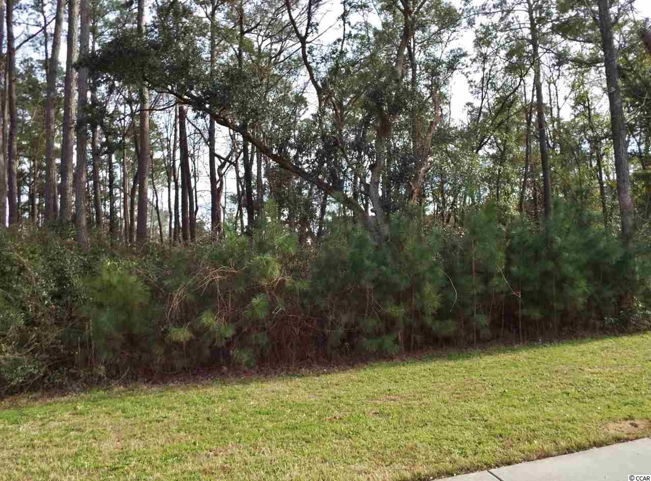 Lot 43 Dunning Road Summerville, SC 29486 - Photo 4 of 6