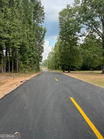 a view of a road with trees in the background
