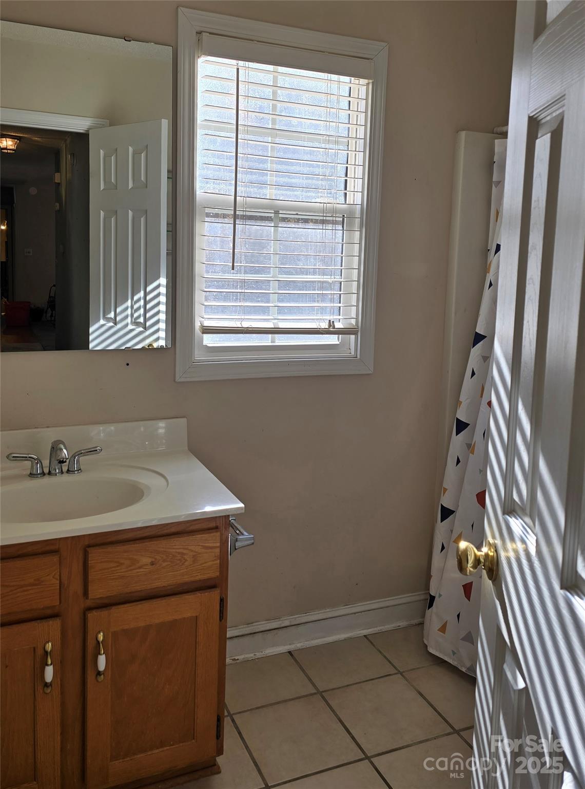 462 Cress Loop Road Salisbury, NC 28147 - Photo 28 of 48 a bathroom with a sink and a mirror