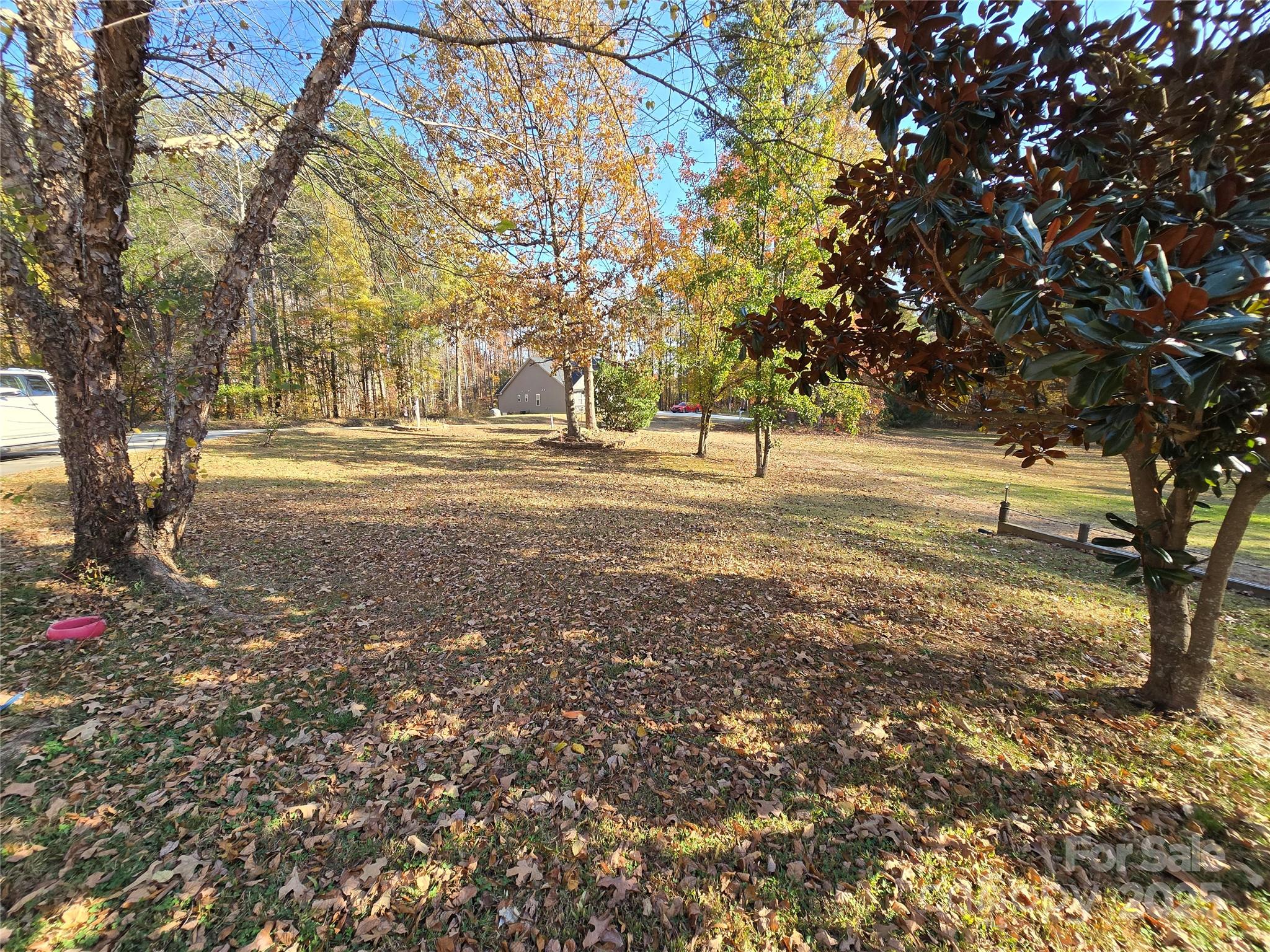 462 Cress Loop Road Salisbury, NC 28147 - Photo 36 of 48 a view of road with large trees