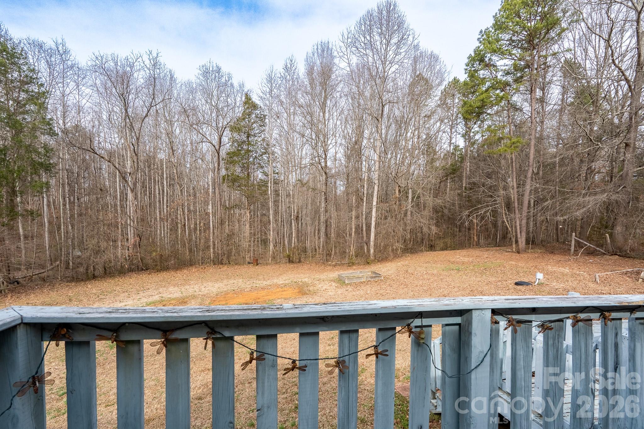 462 Cress Loop Road Salisbury, NC 28147 - Photo 36 of 47