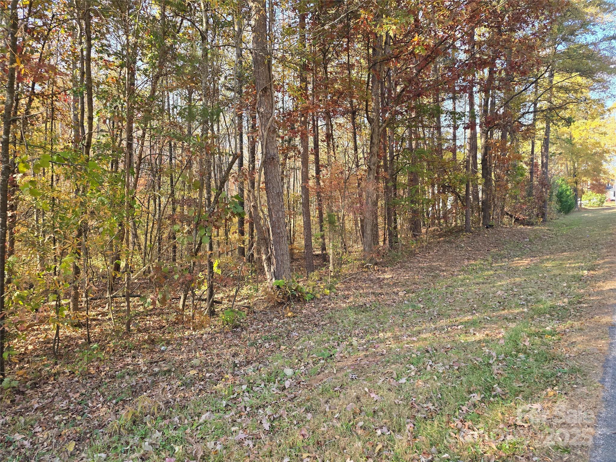 462 Cress Loop Road Salisbury, NC 28147 - Photo 41 of 48 a view of outdoor space with large trees