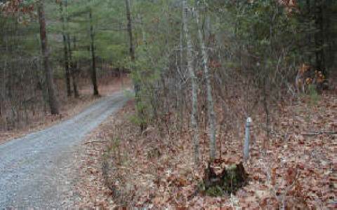 Rosecreek Road Hayesville, NC 28904 - Photo 1 of 1 Main View
