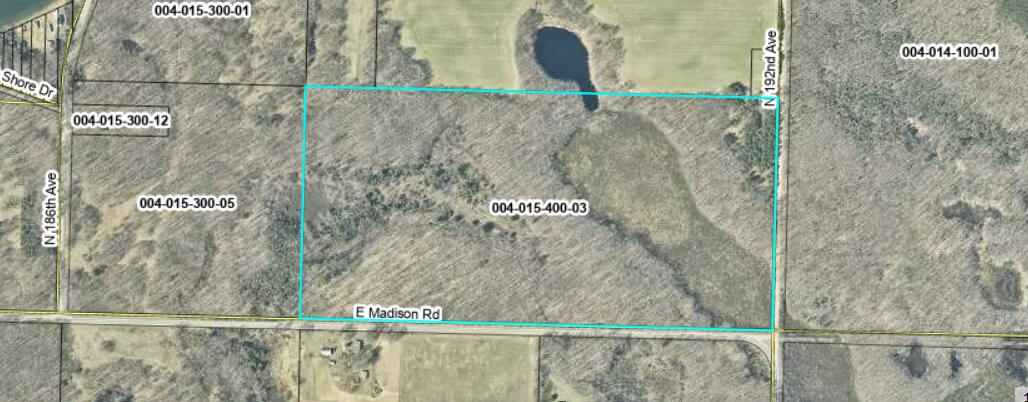 0 East Madison Road Walkerville, MI 49459 - Photo 4 of 4 Arial of Property