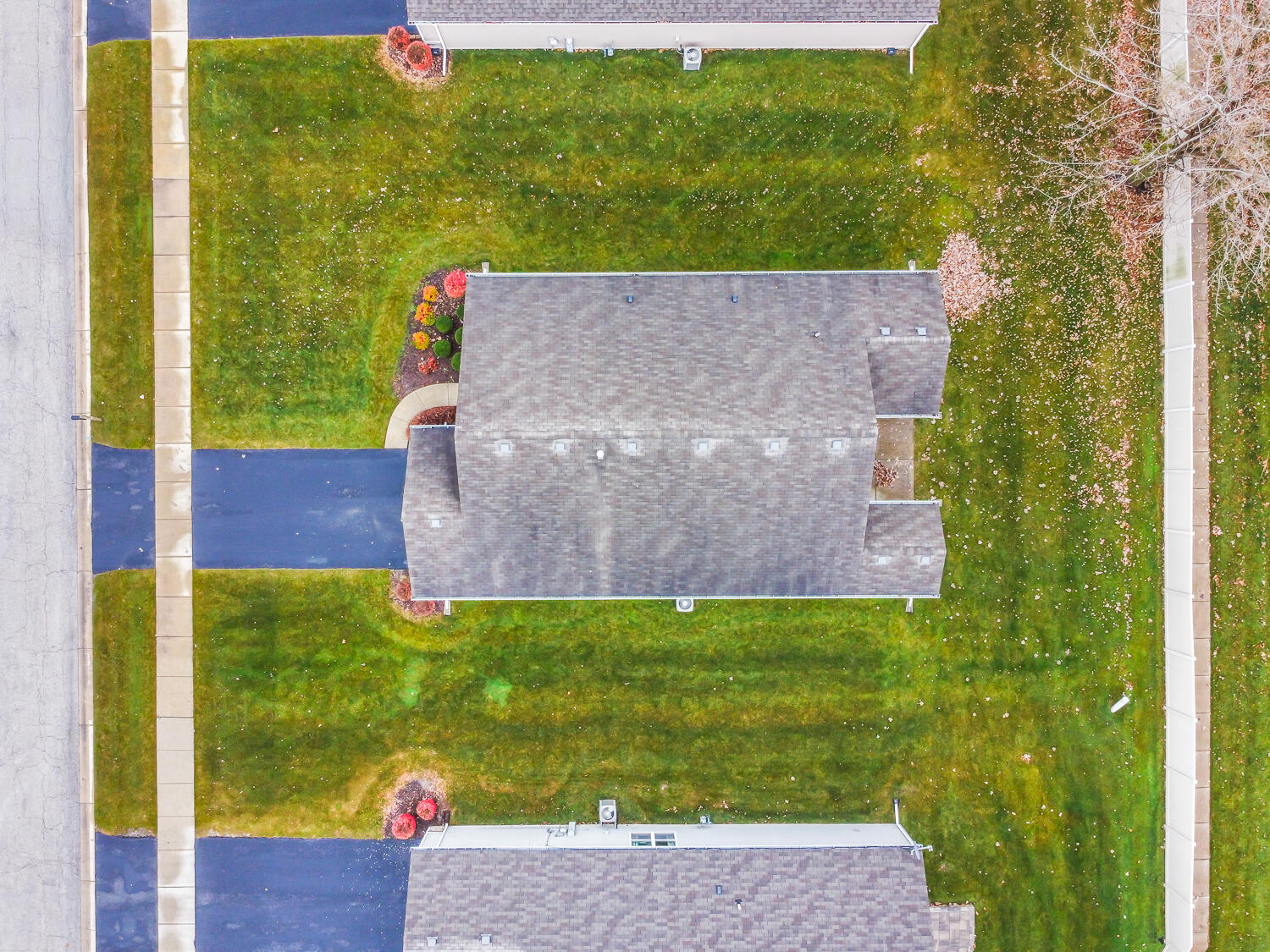 515 East 117th Place Crown Point, IN 46307 - Photo 4 of 35 view of a back yard