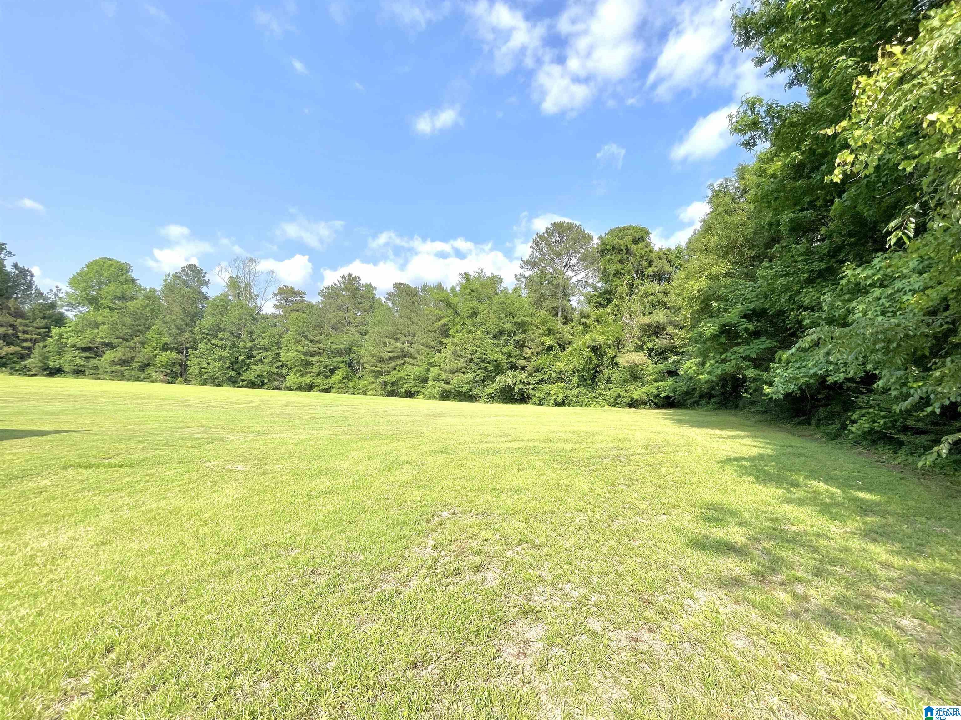 5459 Mount Olive Road Gardendale, AL 35071 - Photo 46 of 54 Gallery Image 46
