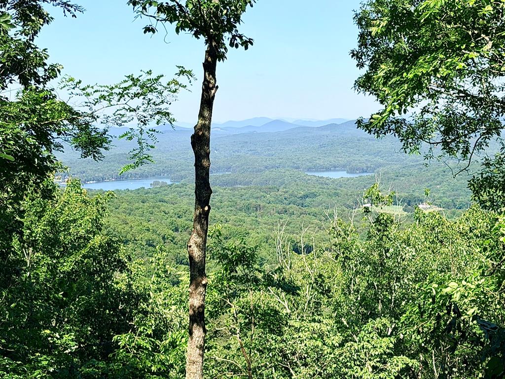 Lot2 Deer Crest Overlook Blue Ridge, GA 30513 - Photo 3 of 12 True view from ground level
