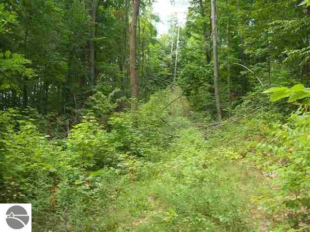 0 Gilbert Road Armada, MI 48005 - Photo 2 of 10 1739986-1.JPG