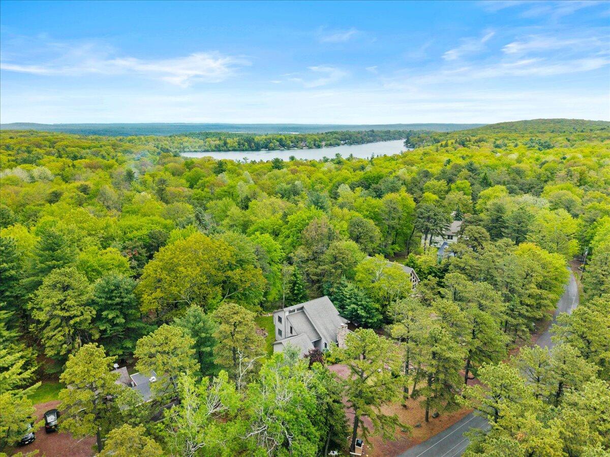52 Hickory Road Lake Harmony, PA 18624 - Photo 32 of 36 a view of a yard and an ocean