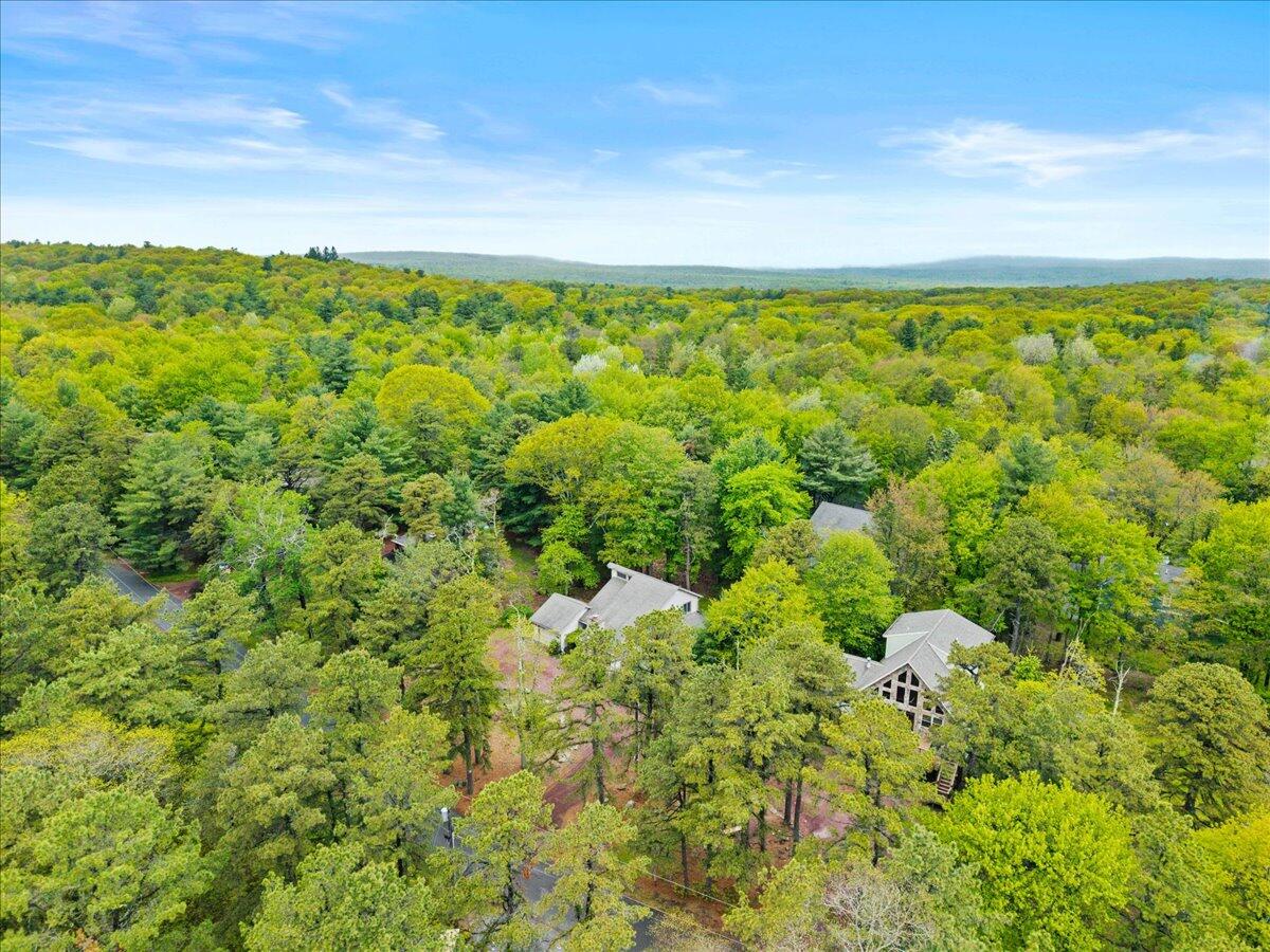 52 Hickory Road Lake Harmony, PA 18624 - Photo 33 of 36 a view of a bunch of trees and bushes
