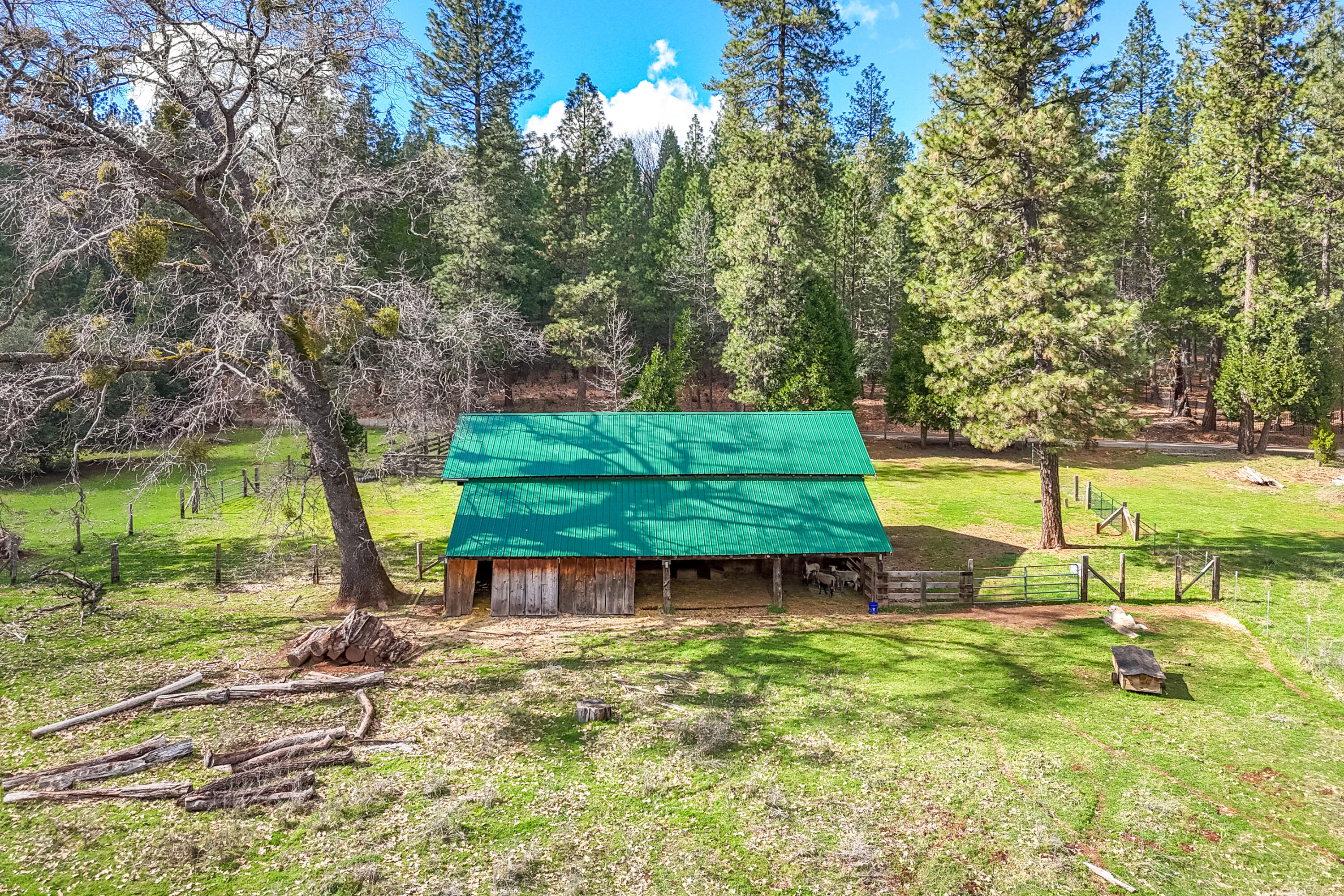 29276 Bullskin Ridge Road Oak Run, CA 96069 - Photo 72 of 113 Drone-45