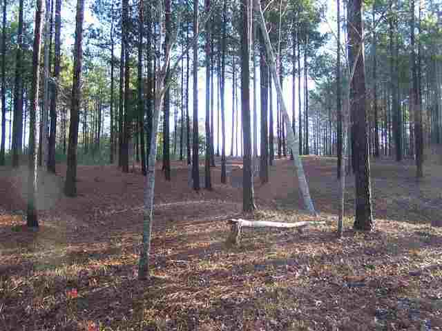 Lot 51 Spring Cove Way, Unit KS251 Six Mile, SC 29682 - Photo 2 of 2 Gallery Image 2