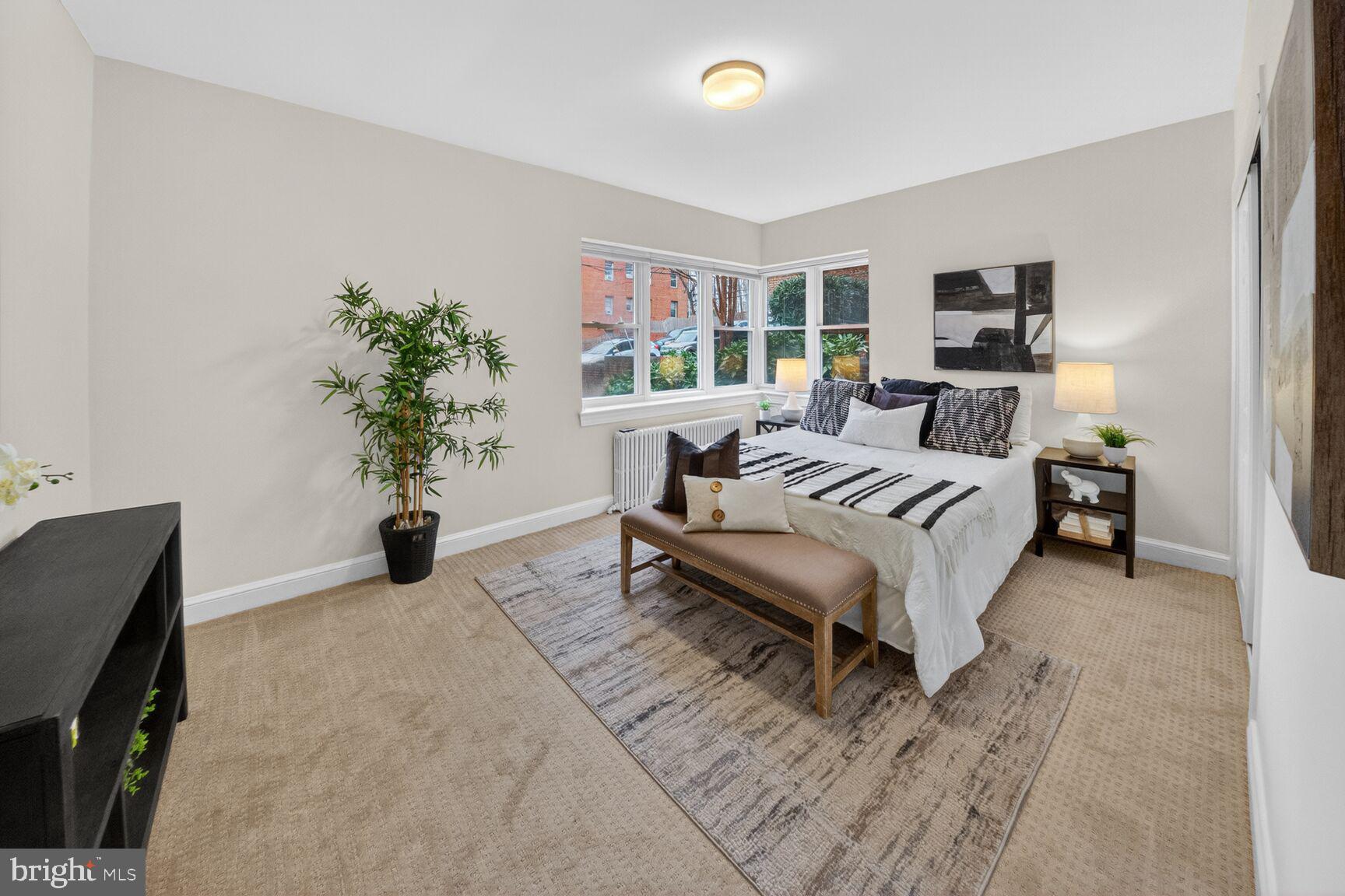 2339 40th Place Northwest, Unit 101 Washington, DC 20007 - Photo 11 of 12 a living room with furniture and a potted plant