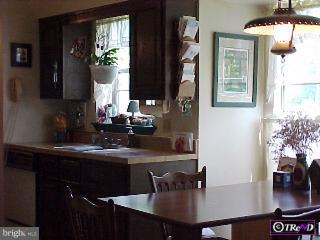 8 Alicia Circle Sinking Spring, PA 19608 - Photo 3 of 3