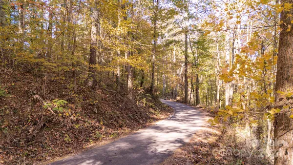 a view of a yard with large trees
