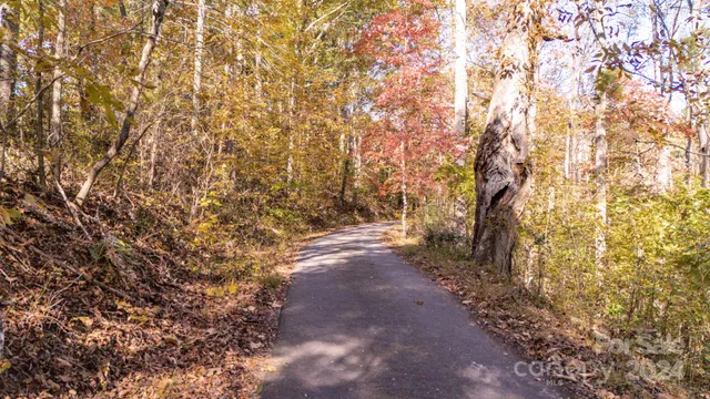 a view of a yard with a tree