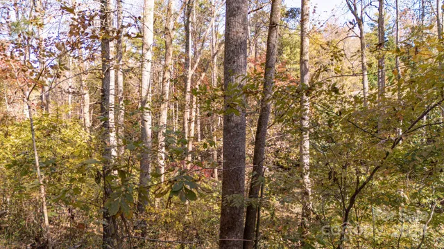 a bathroom with a shower curtain