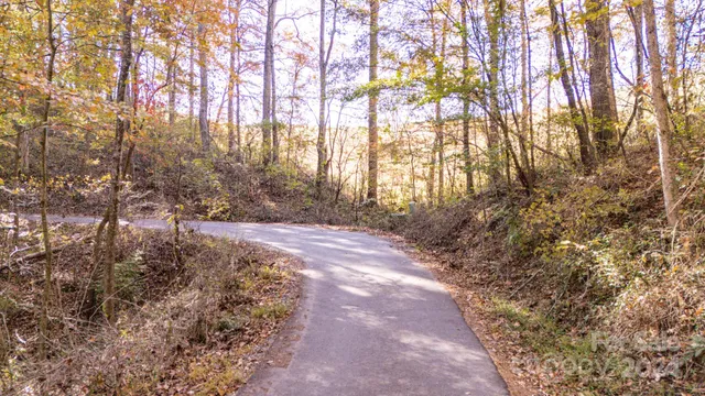 a view of yard with trees