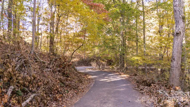 a view of backyard with pathway