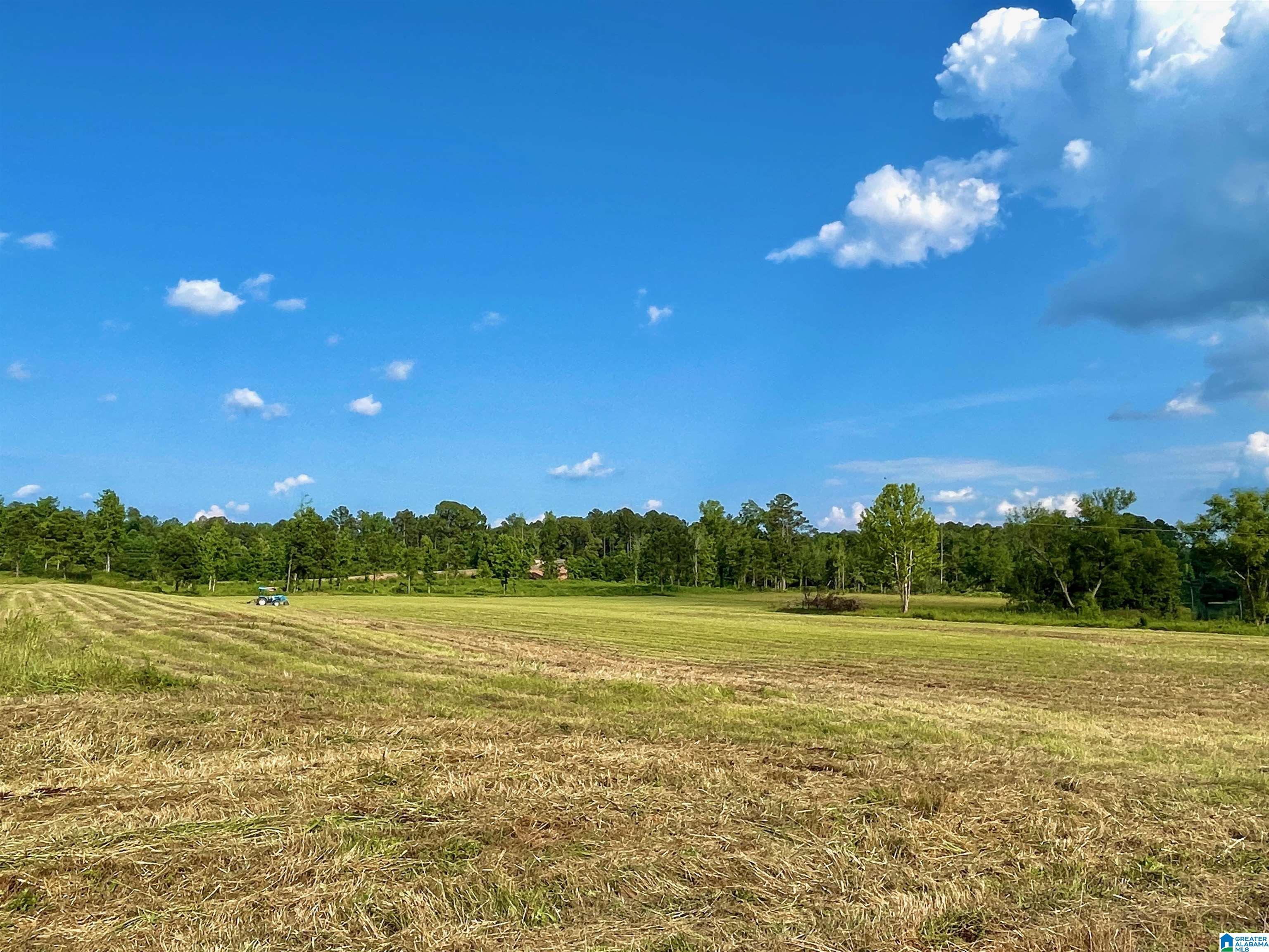 0 Burton Road, Unit 16 Shelby, AL 35143 - Photo 8 of 16