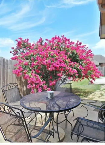 $2,000 | 2711 Silver Oak Drive, College Station, TX 77845