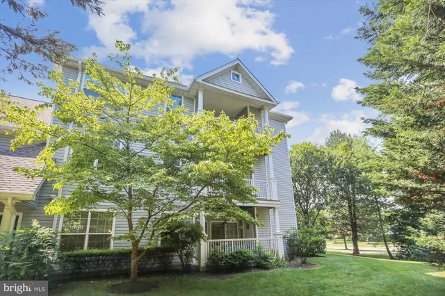 a view of backyard with large trees