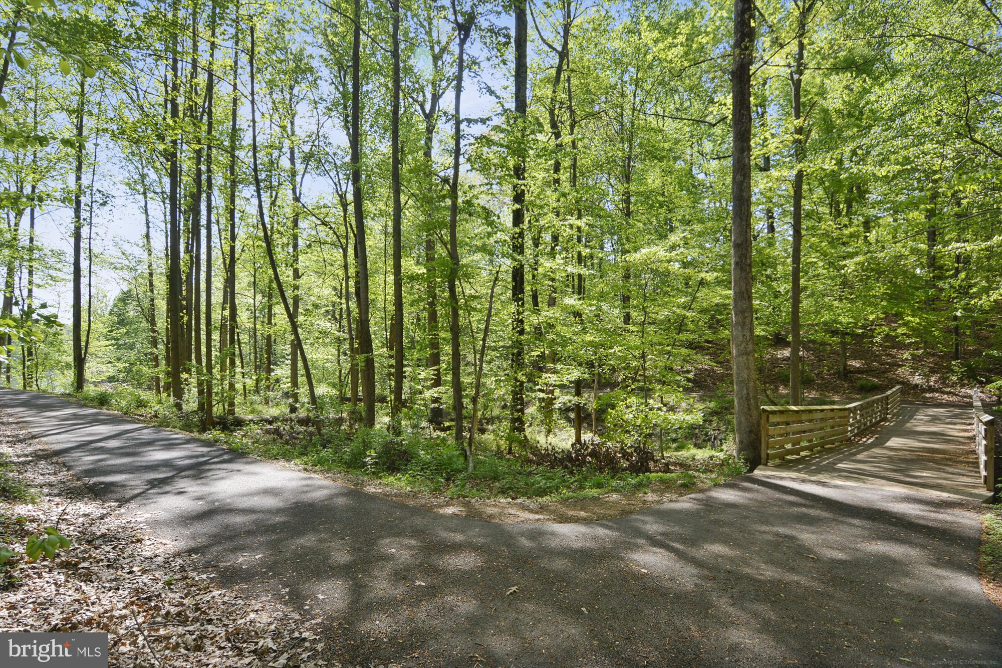 12701 Found Stone Road, Unit 201 Germantown, MD 20876 - Photo 31 of 41 a view of backyard with large trees
