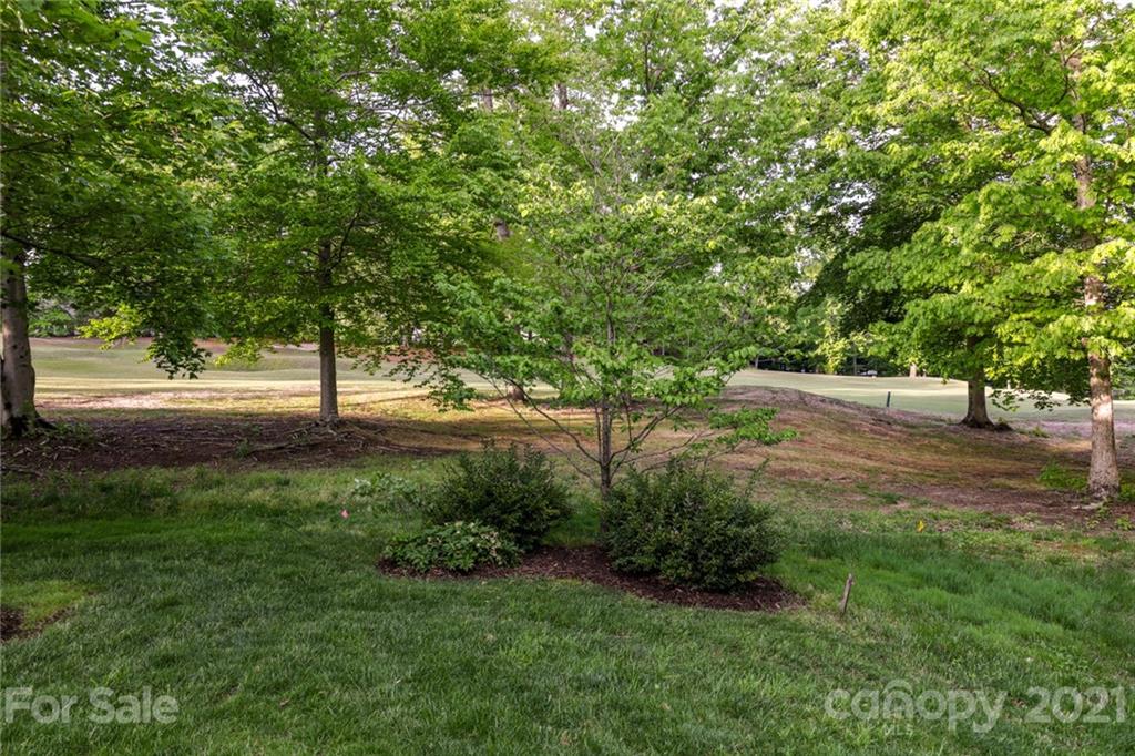 850 Players Ridge Road Hickory, NC 28601 - Photo 43 of 46 Gallery Image 43