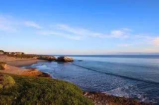 a view of a lake in middle of forest