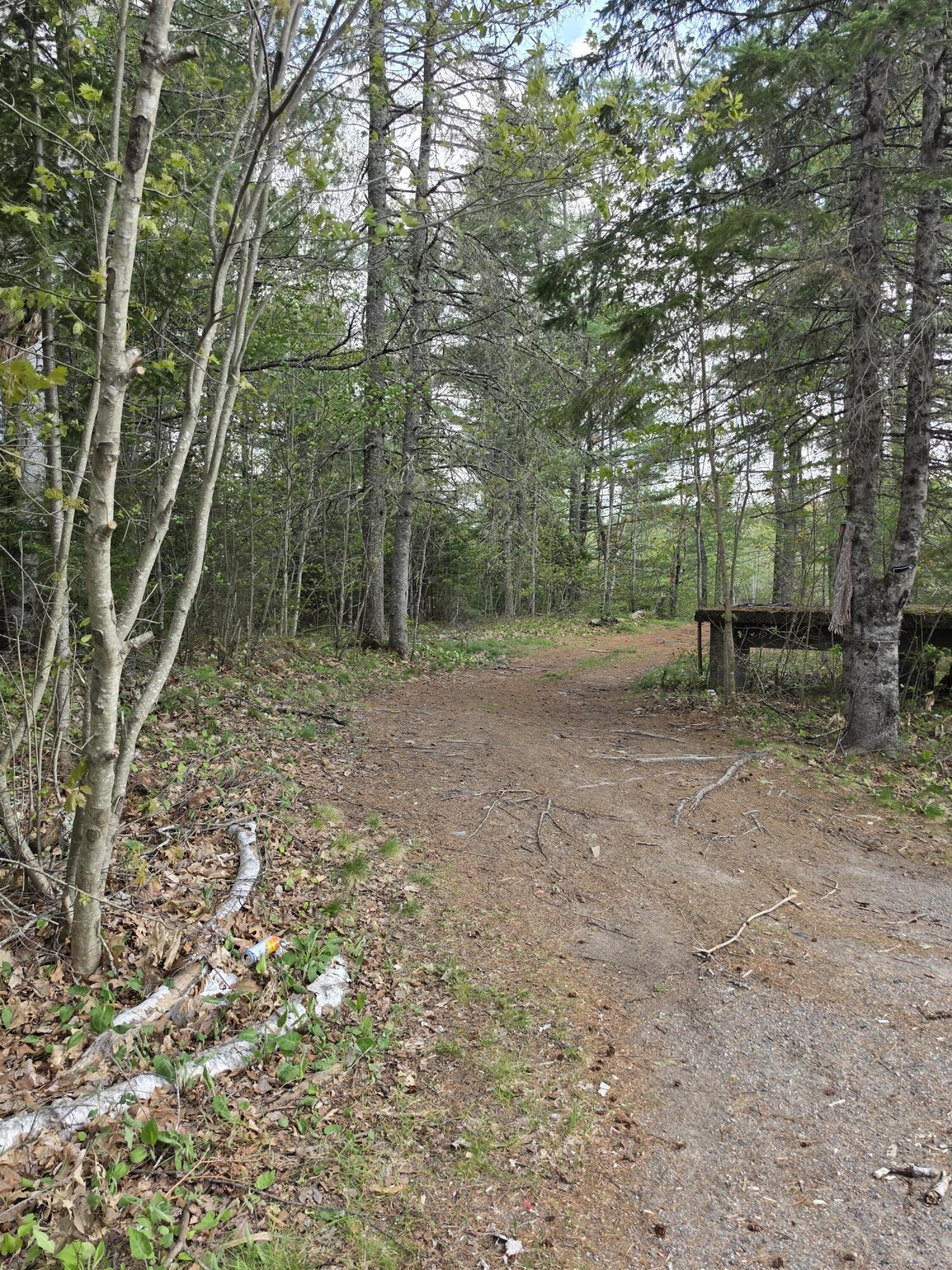 1452 Ridge Road Pembroke, ME 04666 - Photo 3 of 5 12542