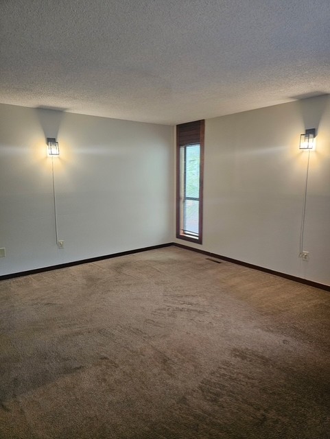 114 Houston Street Clemson, SC 29631 - Photo 9 of 19 Plush wall-to-wall carpeting and symmetrical wall sconces frame a tall wood-trimmed window.
