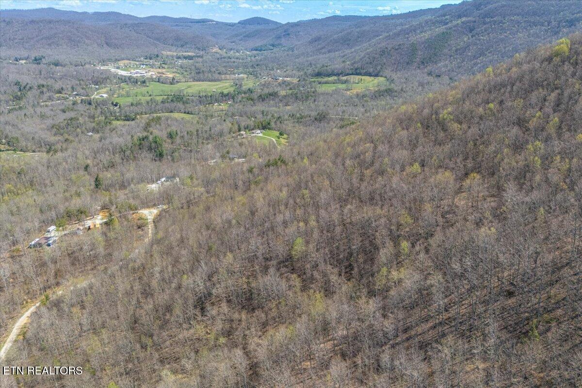 422 Crooked Branch Road Huntsville, TN 37756 - Photo 8 of 35 08-Lot Line A8