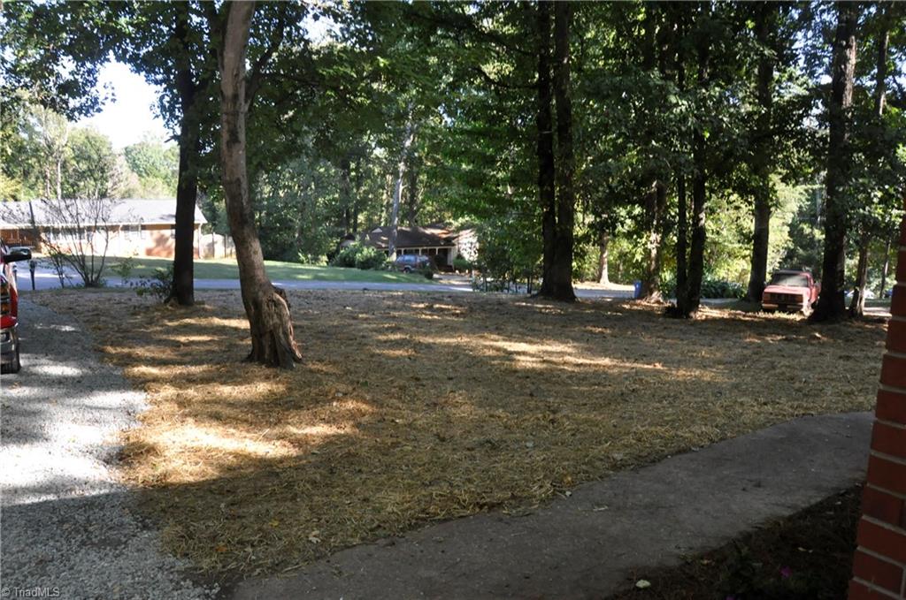 712 Lakedale Road Colfax, NC 27235 - Photo 3 of 19
