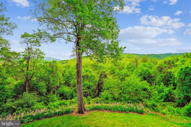 a front view of a house with a porch