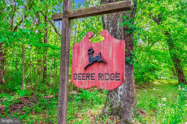 $895,000 | 245 River House Lane, Boyce, VA 22620