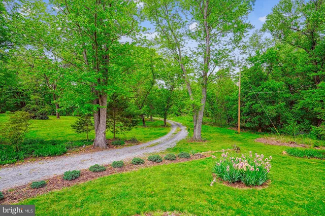 a view of a park with large trees