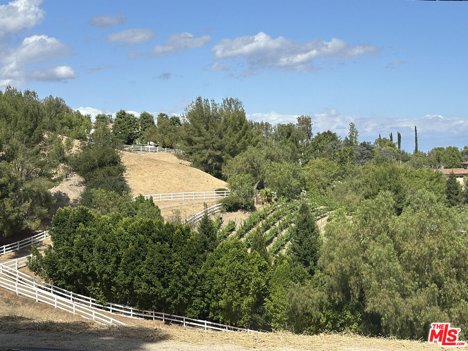 24962 Eldorado Meadow Road Hidden Hills, CA 91302 - Photo 2 of 19 a view of a lake and green space