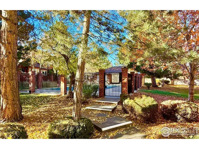a view of a yard with plants