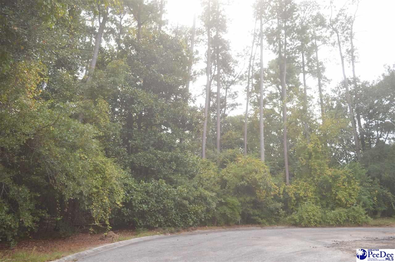 Lot Erwin Erwin Road Hartsville, SC 29550 - Photo 8 of 9 Gallery Image 8