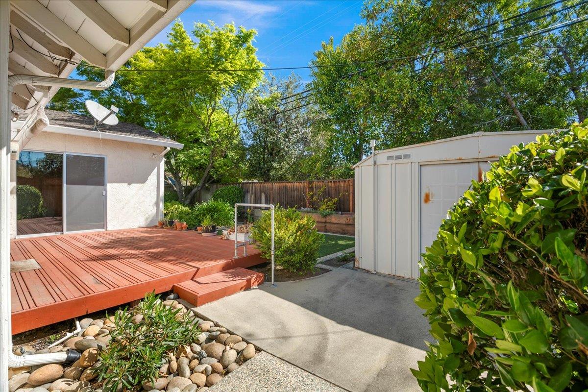 2330 Montezuma Drive Campbell, CA 95008 - Photo 16 of 19 a view of a backyard with plants