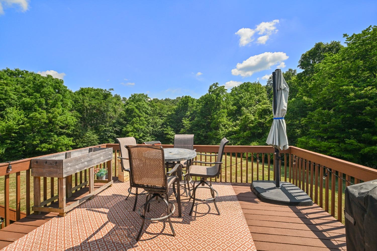 24620 Tree Top Drive Sunman, IN 47041 - Photo 15 of 37