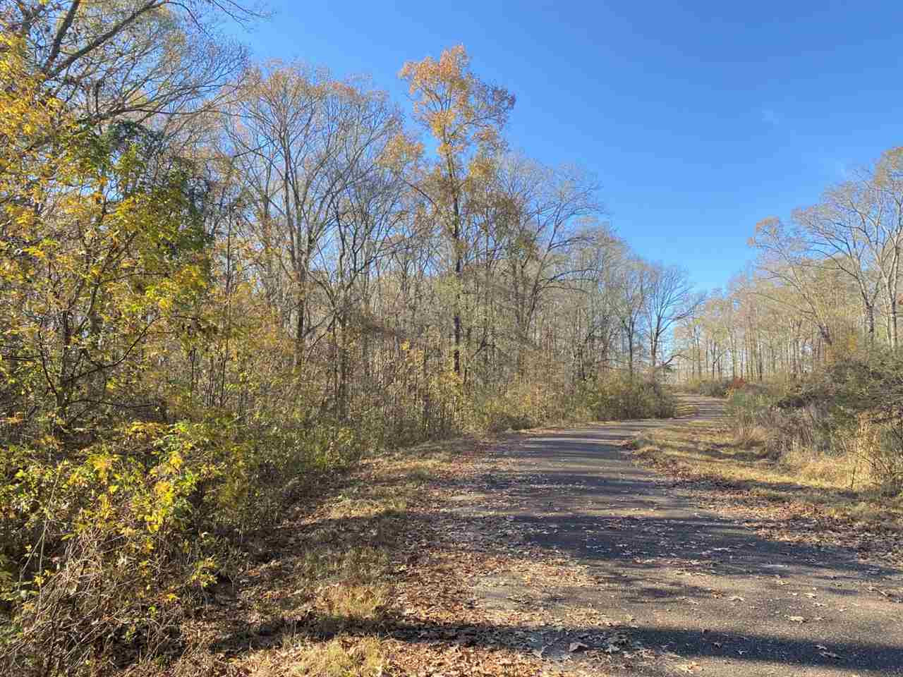 0 Ratliff Road, Unit LOT 4 Raymond, MS 39154 - Photo 8 of 8 Photo 9