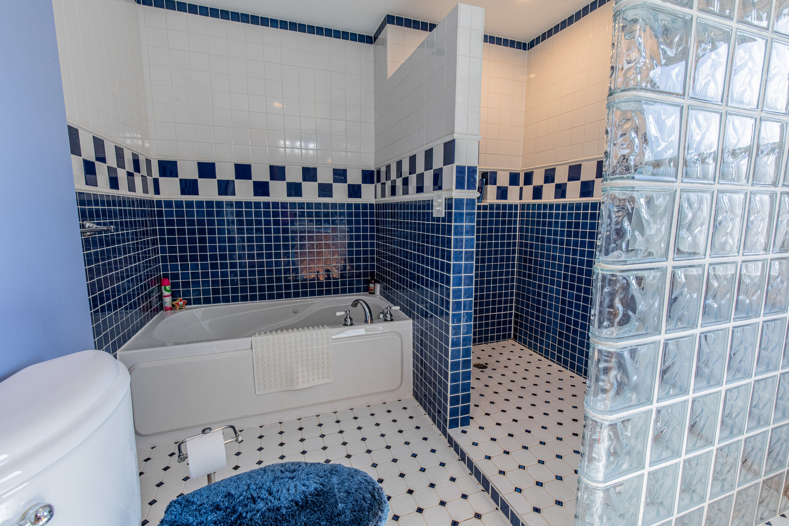 428 East Thompson Street Princeton, IL 61356 - Photo 27 of 32 a bathroom with a bathtub and a shower