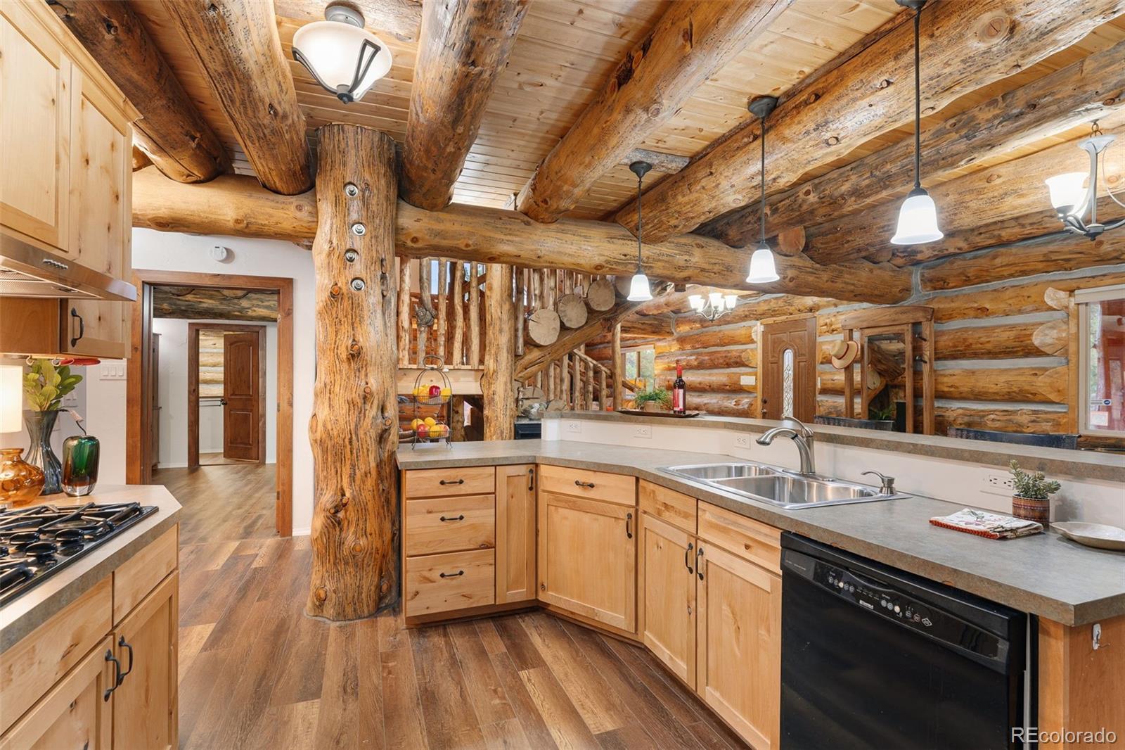 102 Carmargo Road Pine, CO 80470 - Photo 15 of 50