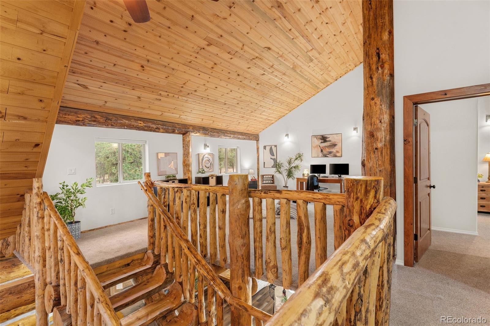 102 Carmargo Road Pine, CO 80470 - Photo 28 of 50